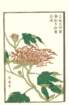 photo9_small.jpg