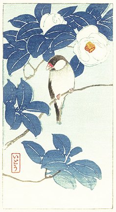 photo16.jpg