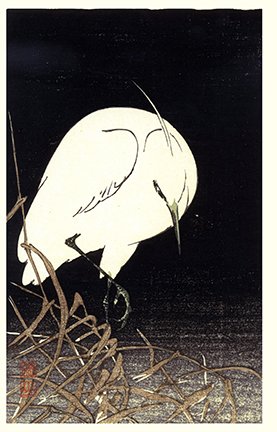 photo27.jpg