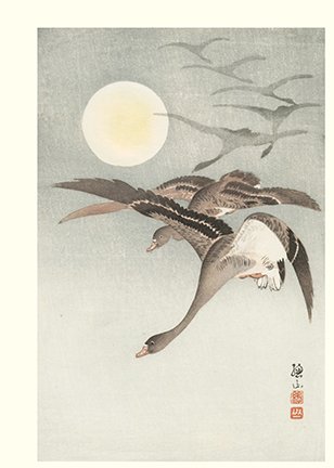 photo43.jpg