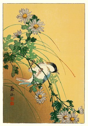 photo9.jpg