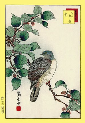 photo22.jpg