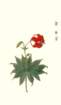 photo10_small.jpg