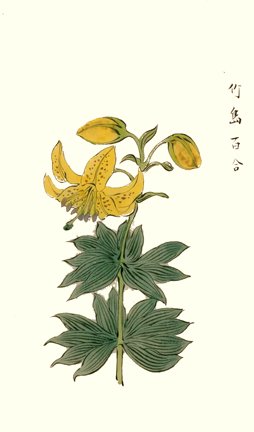 photo12.jpg