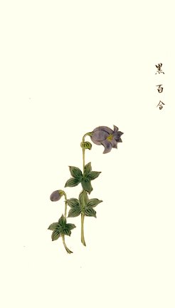 photo14.jpg