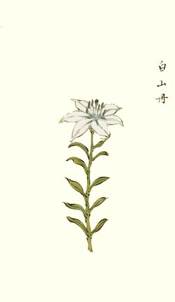 photo24.jpg