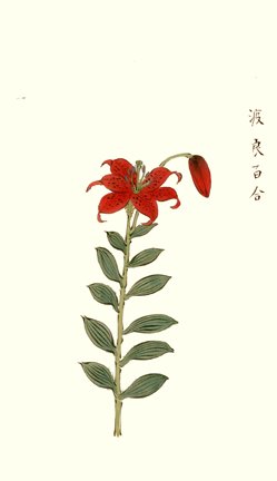 photo28.jpg