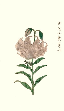 photo3.jpg