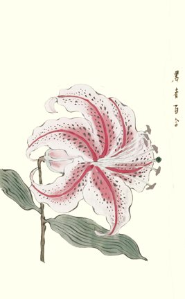 photo32.jpg