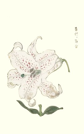 photo36.jpg