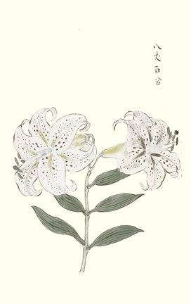 photo40.jpg