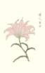 photo54_small.jpg