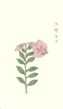 photo66.jpg