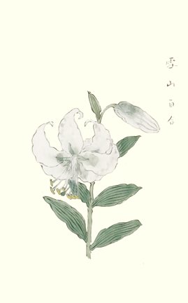 photo69.jpg