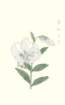 photo69_small.jpg