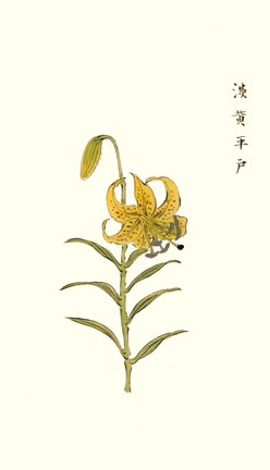 photo7.jpg