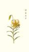 photo7_small.jpg