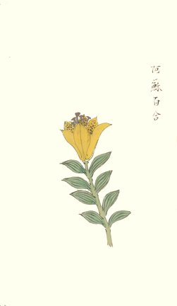 photo86.jpg
