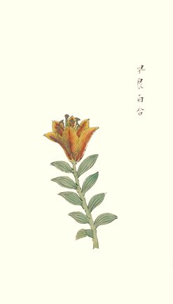 photo87.jpg