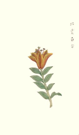 photo94.jpg