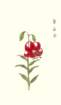photo9_small.jpg