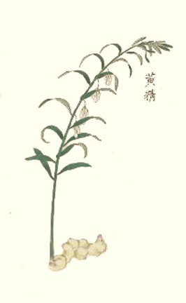 photo12.jpg