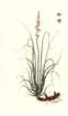 photo15_small.jpg