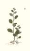 photo18_small.jpg