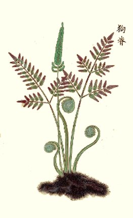 photo21.jpg