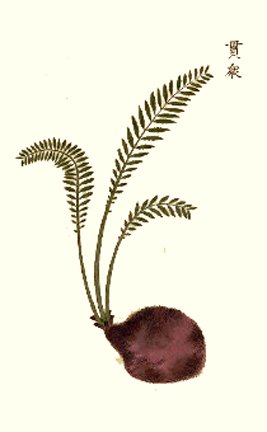 photo22.jpg