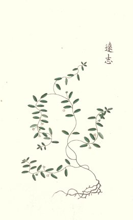 photo24.jpg