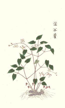 photo26.jpg