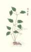 photo28_small.jpg