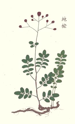 photo30.jpg