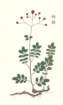 photo30_small.jpg