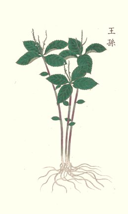 photo32.jpg