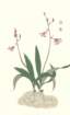 photo35_small.jpg