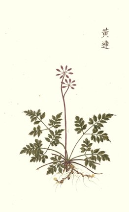 photo38.jpg