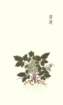 photo39_small.jpg