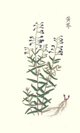 photo43.jpg