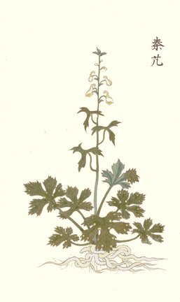 photo44.jpg