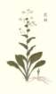 photo47_small.jpg