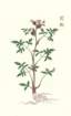photo48_small.jpg