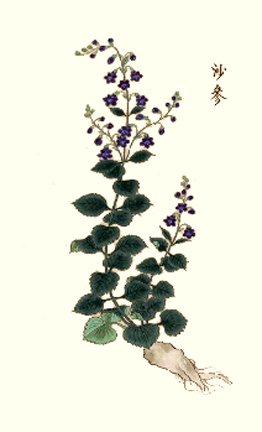 photo6.jpg