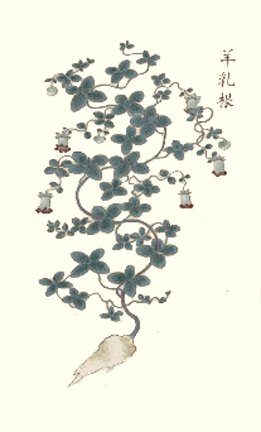photo9.jpg