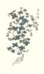 photo9_small.jpg