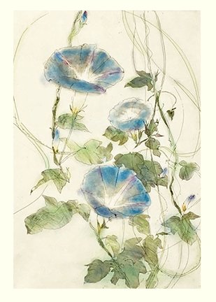 photo34.jpg