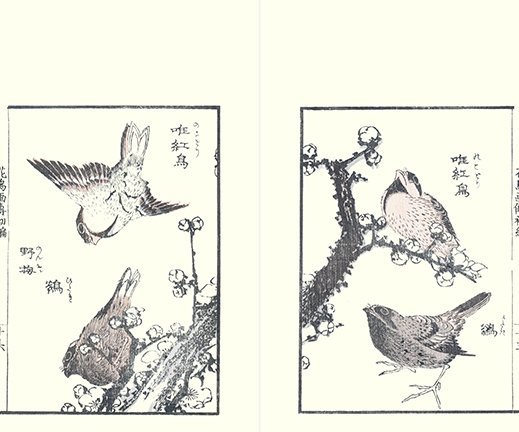 photo16.jpg