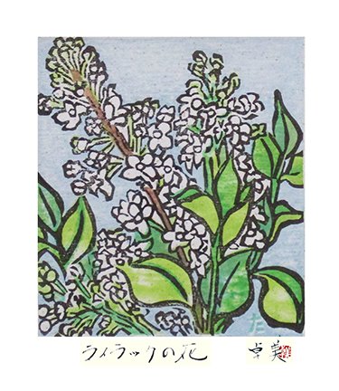 photo21.jpg