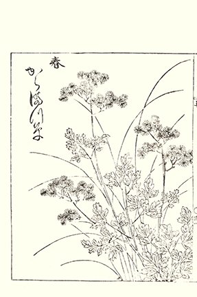 photo16.jpg